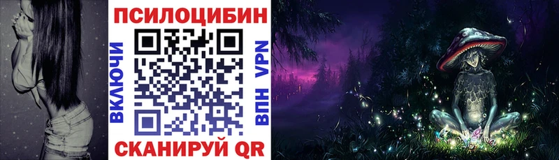 Галлюциногенные грибы мухоморы Заозёрный