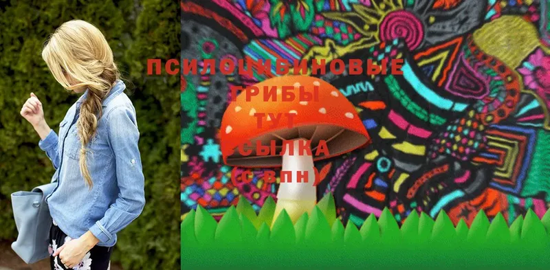 Галлюциногенные грибы Magic Shrooms  hydra tor  Заозёрный 